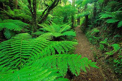 米津玄师《最终幻想16》主题曲MV发布 场景宏大壮观